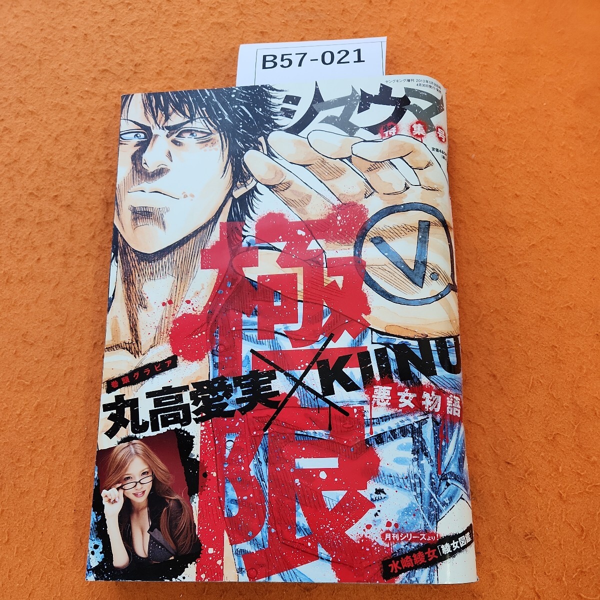 B57-021 ヤングキング増刊 2013 5/30日号シマウマ 丸ごと1冊シマウマだぜっ! _画像1