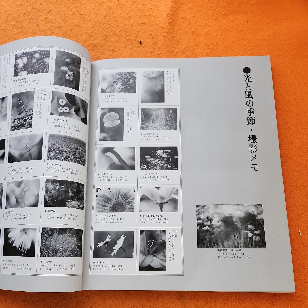 B57-043 日本カメラ別冊 木原和人写真集 光と風の季節_画像2