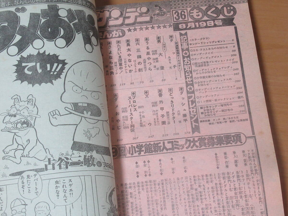 N4804/週刊少年サンデー 1981年 36号 8月19日号 タッチ あだち充 新連載 うる星やつらの画像7