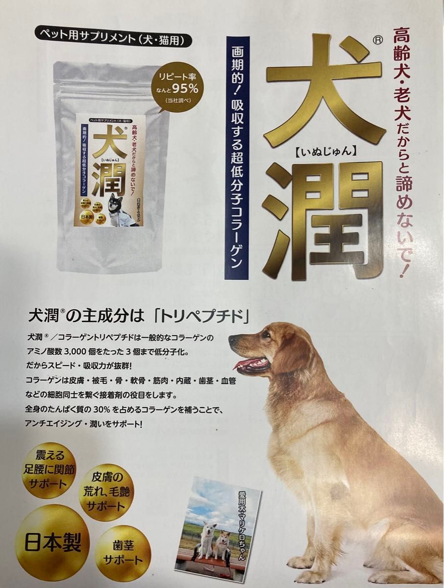 高齢犬サプリメント【犬潤】コラーゲントリペプチド　1袋