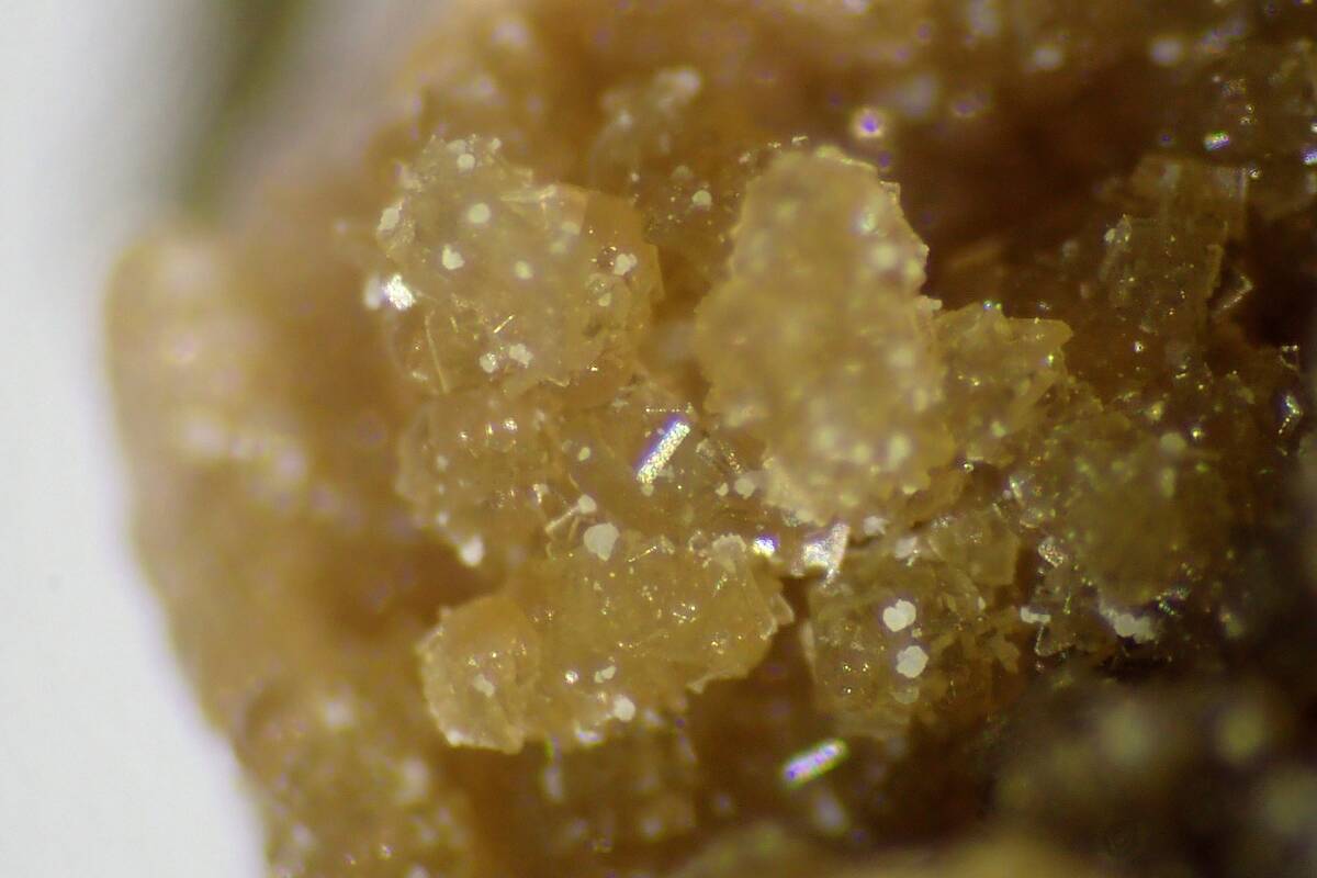 【外国産鉱物標本】ブラジル産・ギラマンエス石（2タイプの結晶！）_画像1