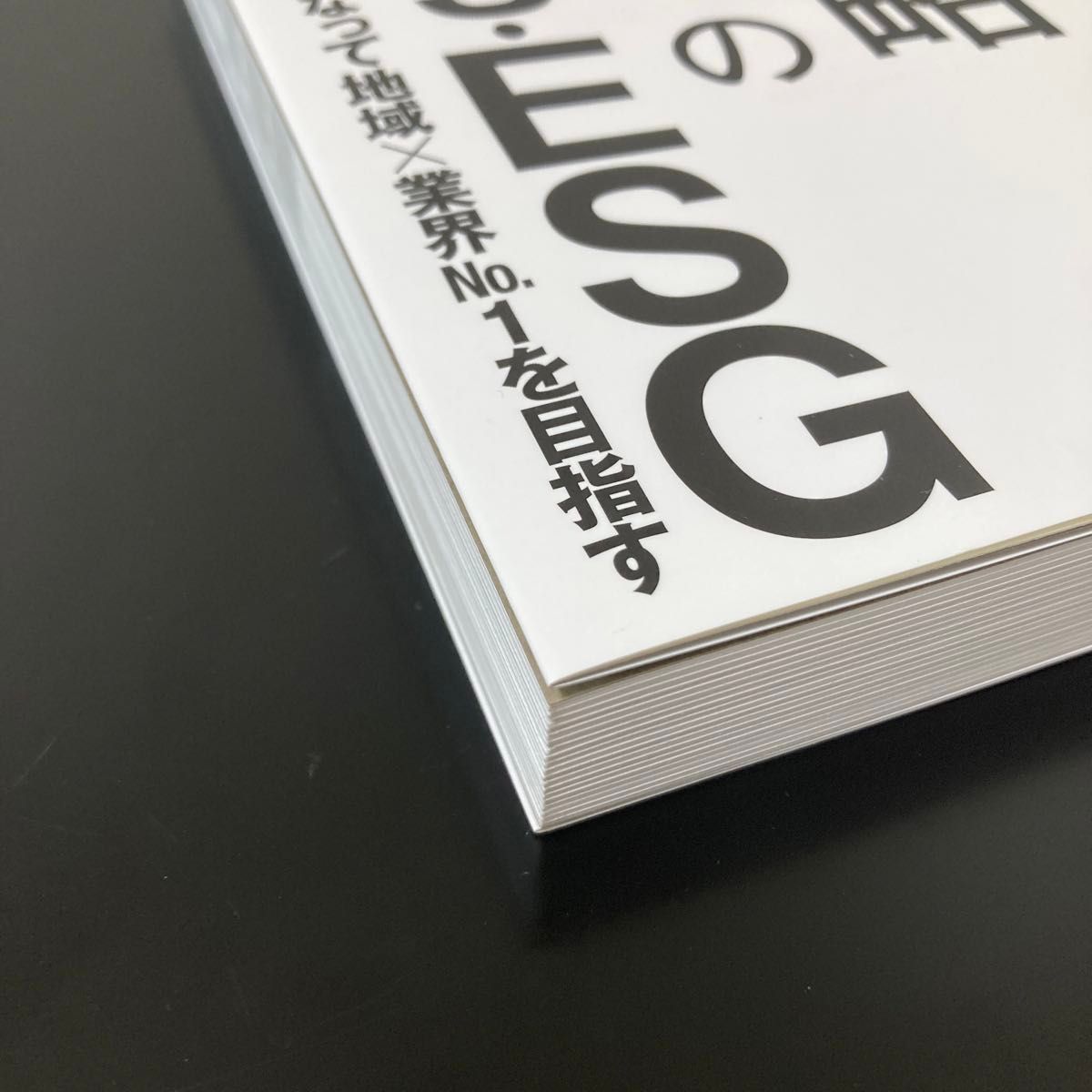 経営戦略としてのＳＤＧｓ・ＥＳＧ　“未来から愛される会社”になって地域×業界Ｎｏ．１を目指す 白井旬／著