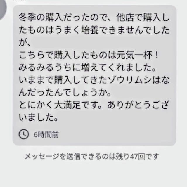 史上最強★絶対の自信あり★密度が違います★簡単培養ゾウリムシ800ml★ペットボトルで爆殖中★