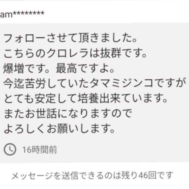 ★韓国から隔週輸入の粉末や原液とは効果が全く違います★SuperExcelent詰替え用生クロレラ原液