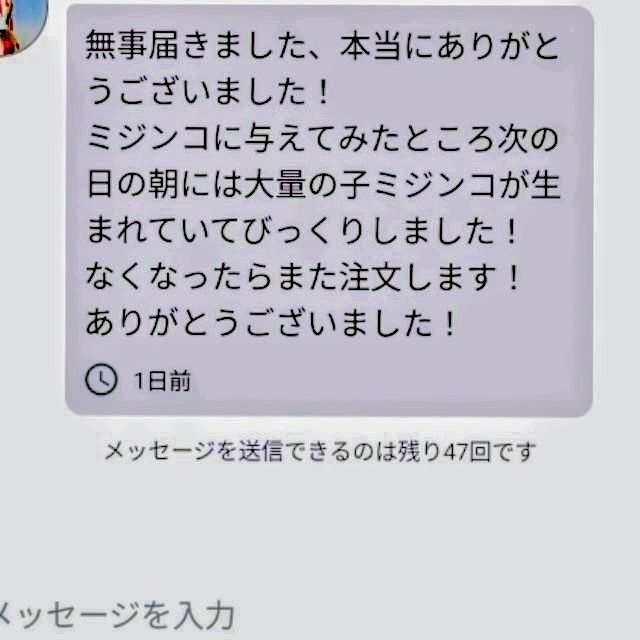 ★韓国から隔週輸入の粉末や原液とは効果が全く違います★SuperExcelent詰替え用生クロレラ原液