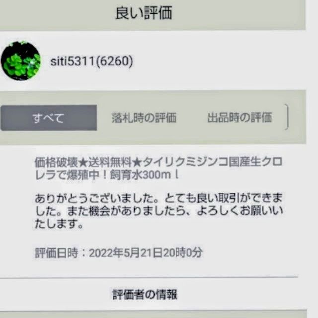 死着は前例がありません！元気なタイリクミジンコ国産生クロレラで爆殖中！飼育水100ml！100均の鶏糞ペレットでも培養できます