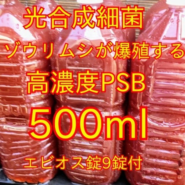 送料無料★自家培養★高濃度光合成細菌PSB500ml＋培養用エビオス錠９錠★生クロレラも出品中★