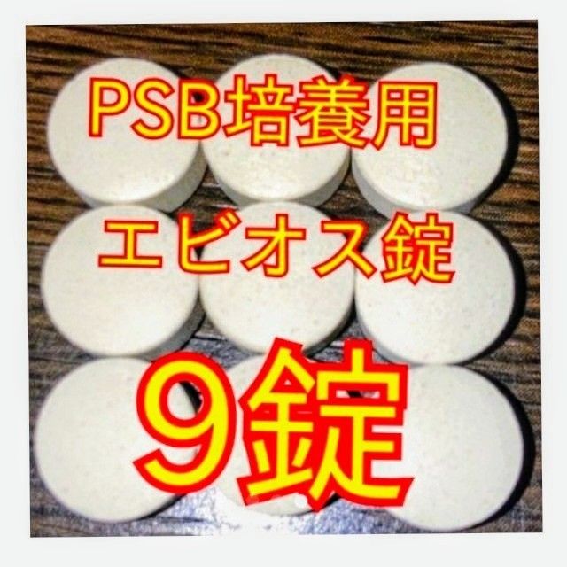 送料無料★自家培養★高濃度光合成細菌PSB500ml＋培養用エビオス錠９錠★生クロレラも出品中★