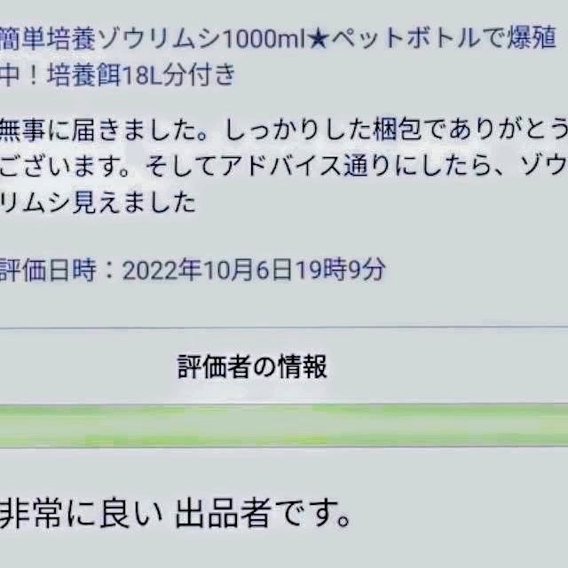 史上最強★絶対の自信あり★密度が違います★簡単培養ゾウリムシ800ml★ペットボトルで爆殖中★