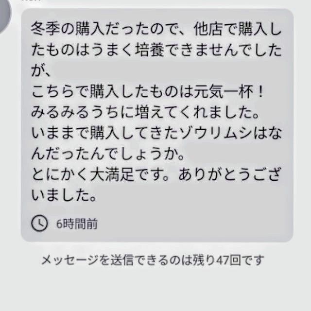 史上最強★絶対の自信あり★密度が違います★簡単培養ゾウリムシ800ml★ペットボトルで爆殖中★