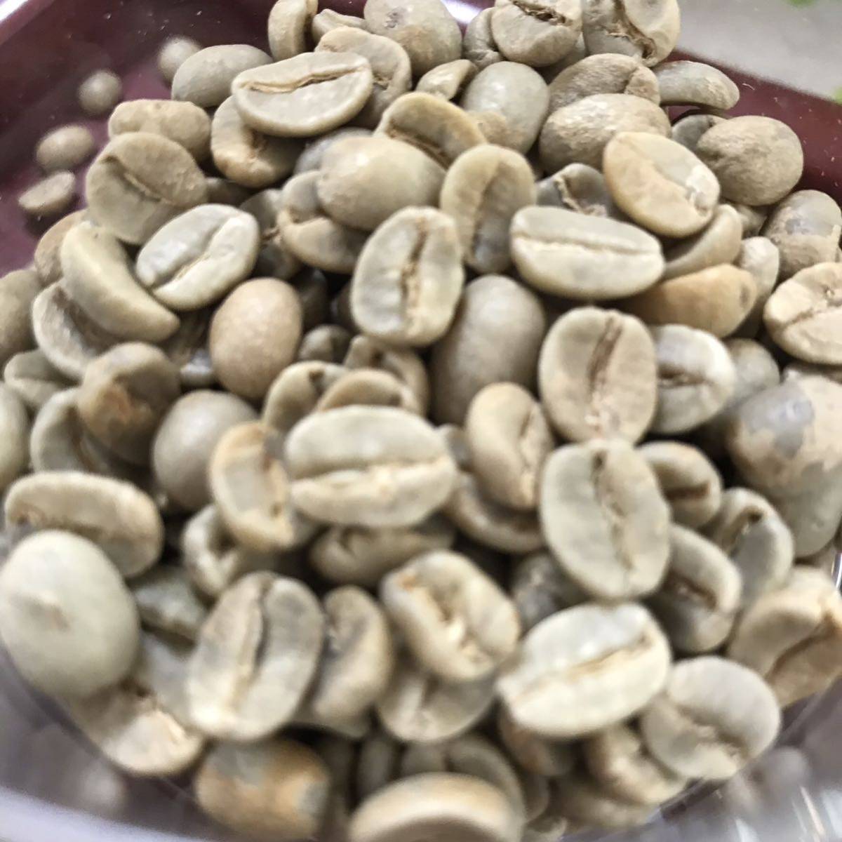 コーヒ生豆　400g2種類