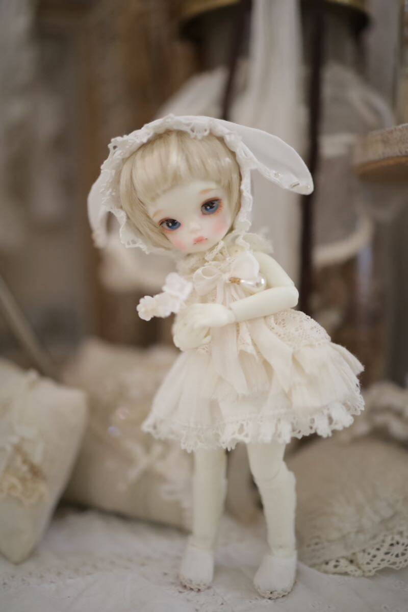 imda1.7 Jane