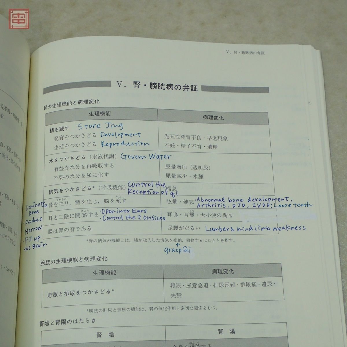 中医診断学ノート 内山恵子 東洋学術出版社 2006年発行 東洋医学【PP_画像5