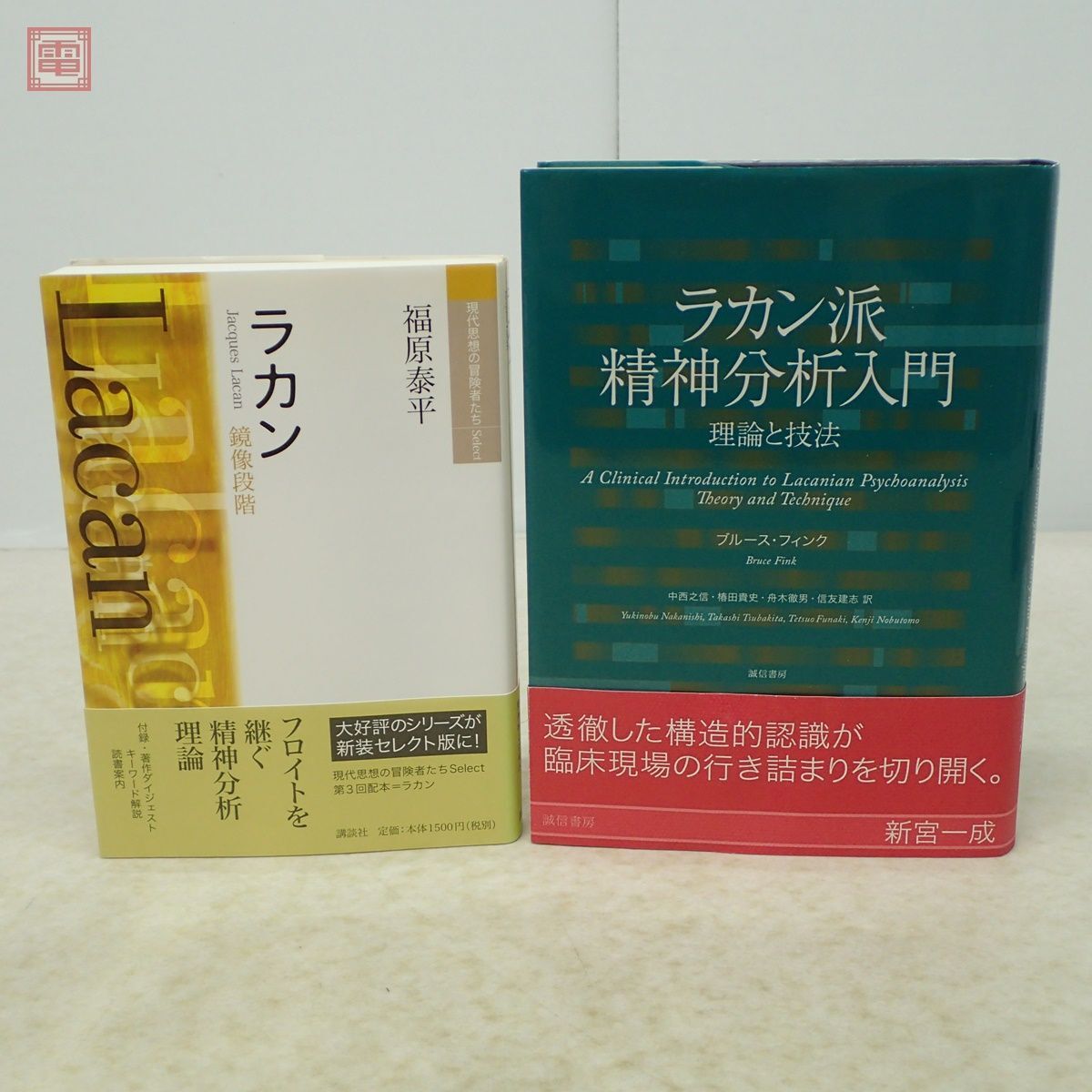 ラカン派精神分析入門 ブルース・フィンク＋現代思想の冒険者たち ラカン 鏡像段階 福原泰平 まとめて2冊セット 精神医学【10_画像1