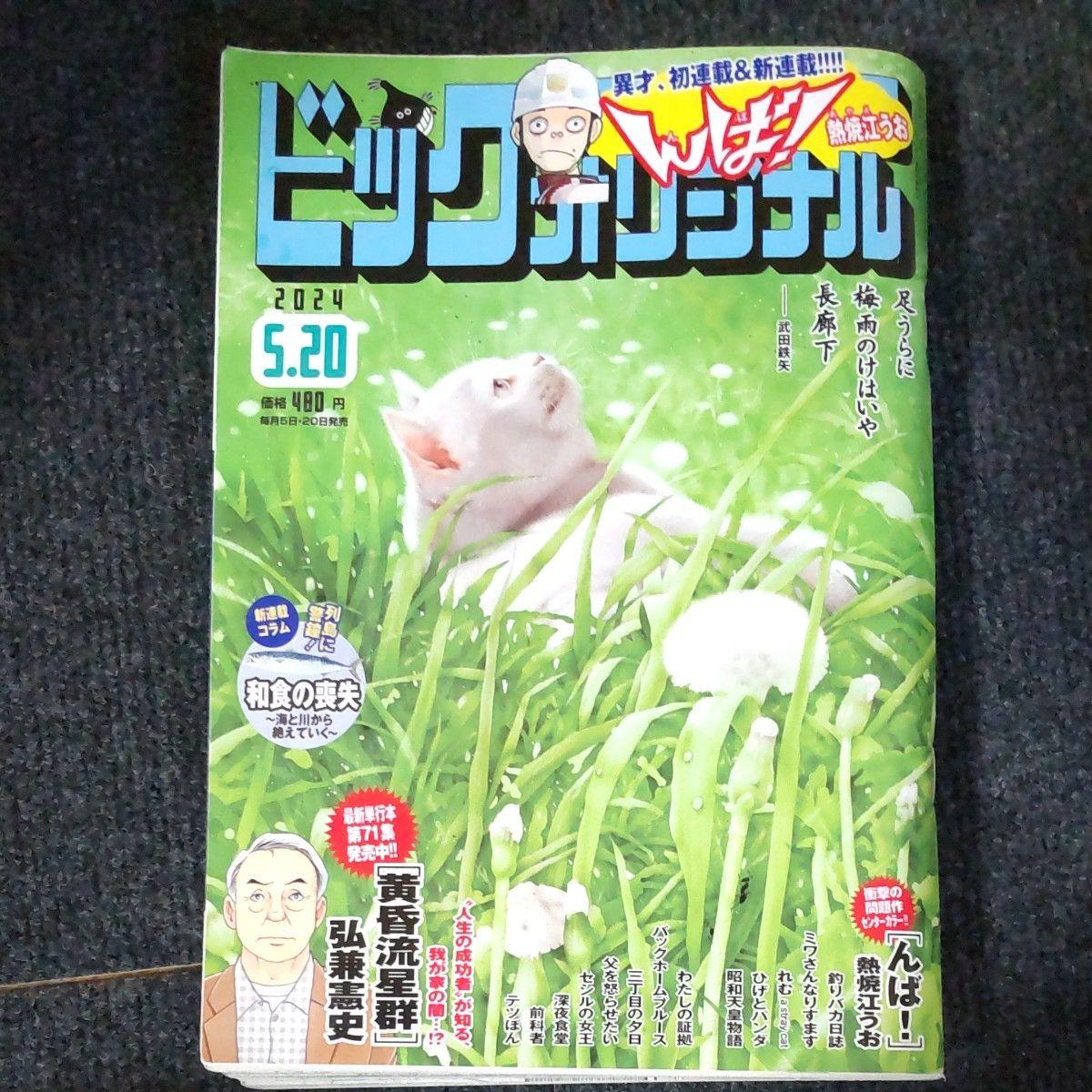 ビッグコミックオリジナル5/20
