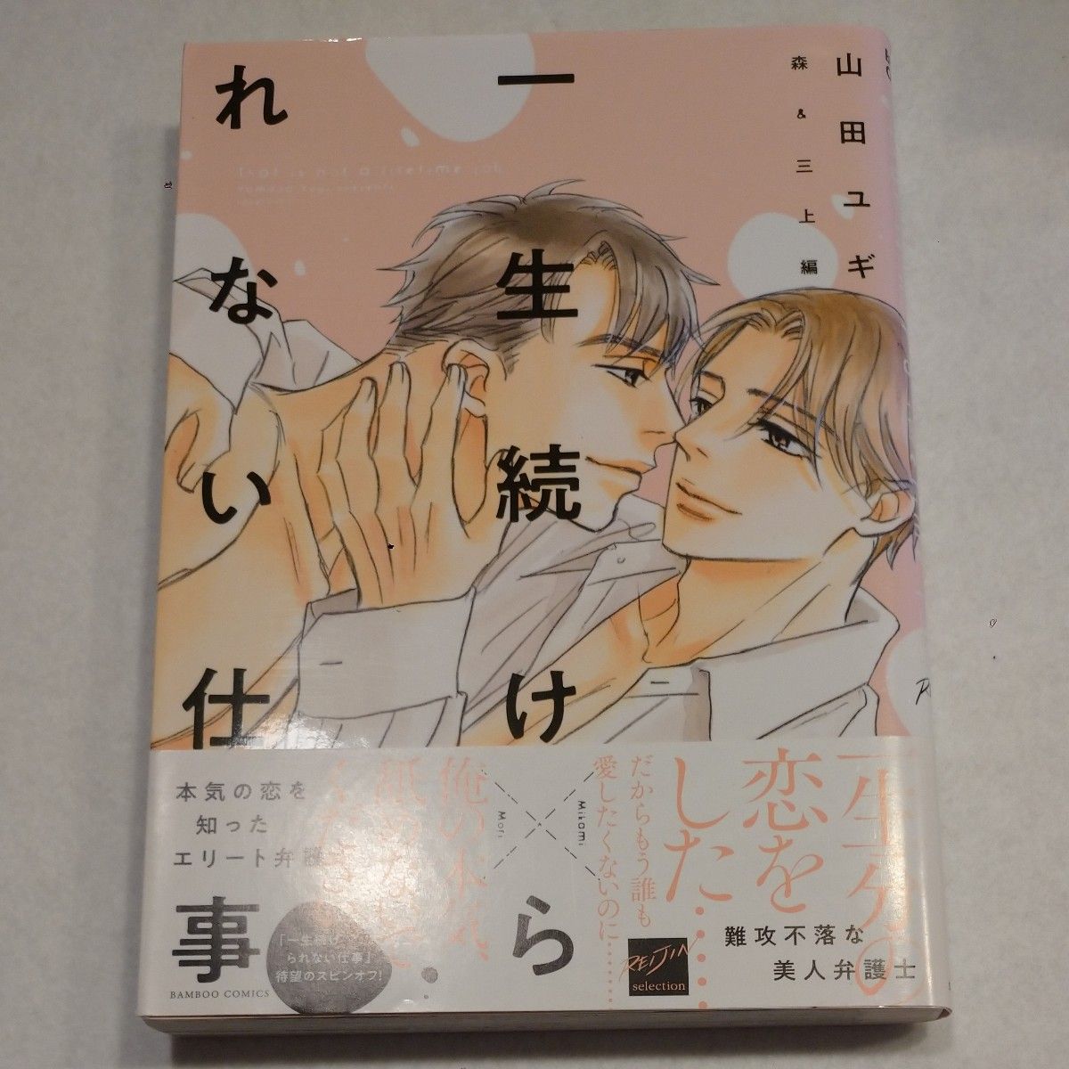 一生続けられない仕事(1)～(4)初回限定版 /森&三上編 / 完結記念トリビュートBOOK / 山田ユギ