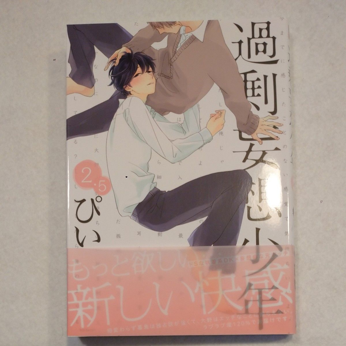 過剰妄想少年(1)～(4)+(2.5) 全５冊 /      ３巻特装版小冊子 / リーフレット６冊 / ぴい