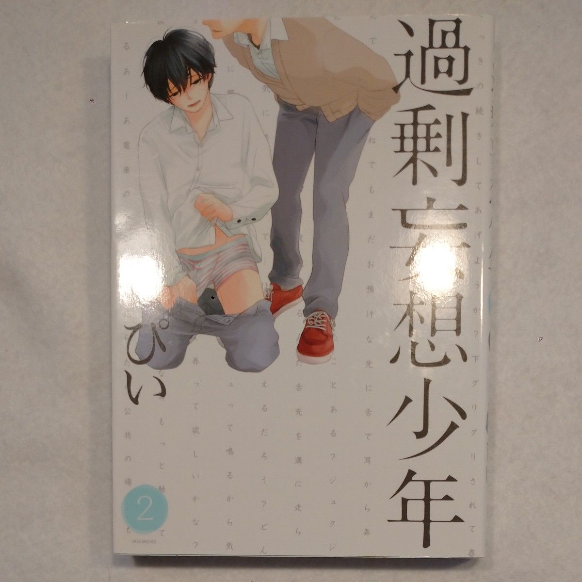 過剰妄想少年(1)～(4)+(2.5) 全５冊 /      ３巻特装版小冊子 / リーフレット６冊 / ぴい