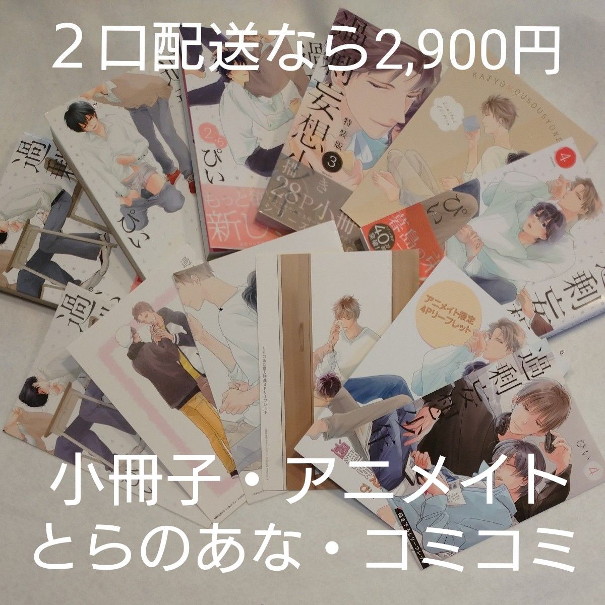 過剰妄想少年(1)～(4)+(2.5) 全５冊 /      ３巻特装版小冊子 / リーフレット６冊 / ぴい