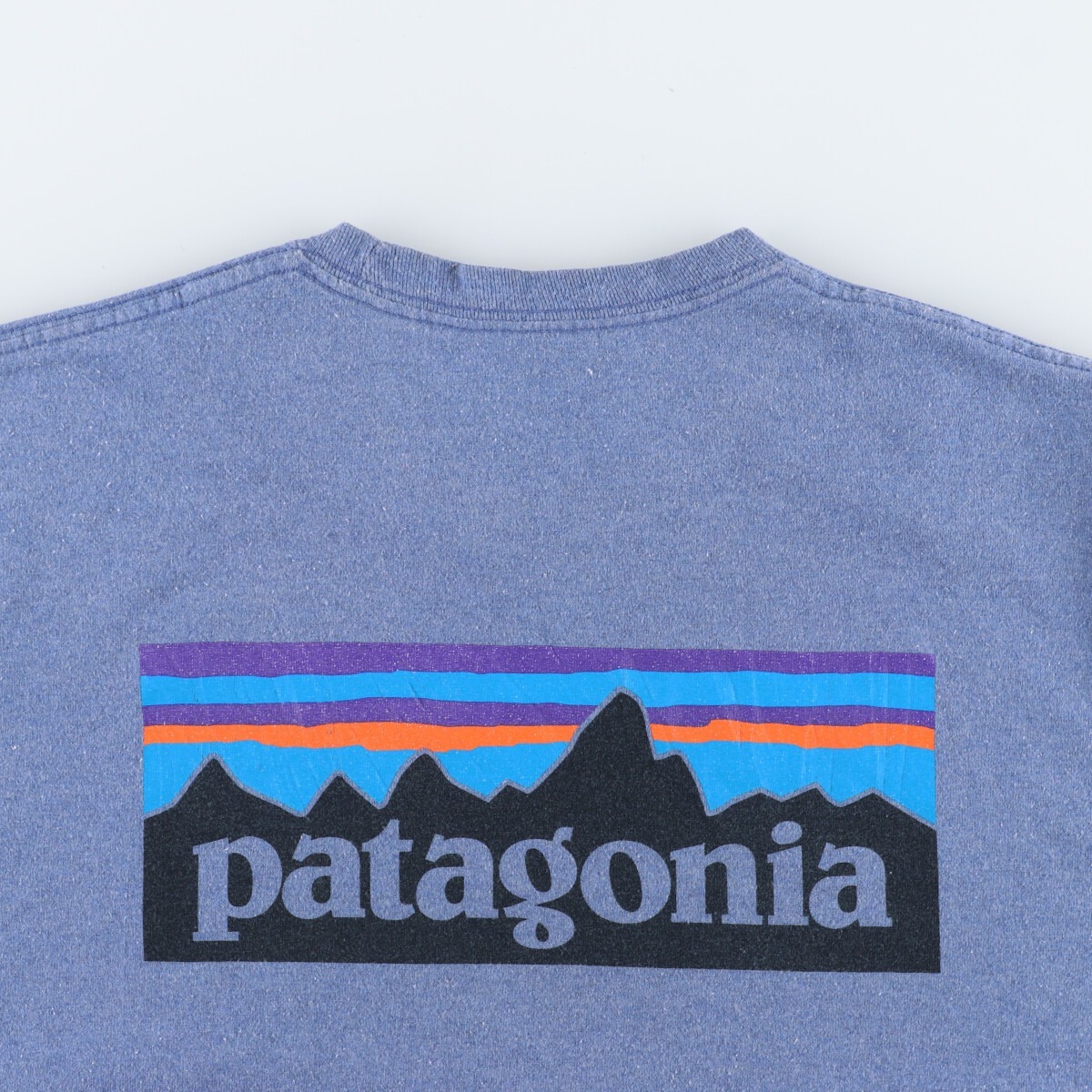 古着 パタゴニア Patagonia 39174FA19 半袖 プリントTシャツ メンズL /eaa443385_画像8