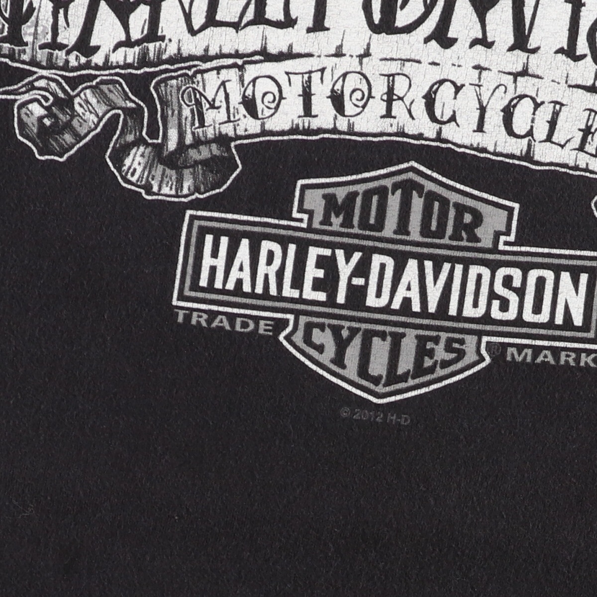 古着 10年代 ハーレーダビッドソン Harley-Davidson モーターサイクル バイクTシャツ メンズXXL /eaa448394_画像5