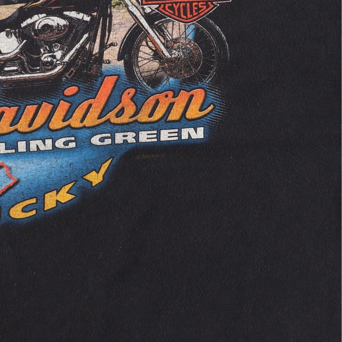 古着 00年代 ハーレーダビッドソン Harley-Davidson 鷲柄 イーグル柄 モーターサイクル バイクTシャツ USA製 メンズXL /eaa448395_画像5