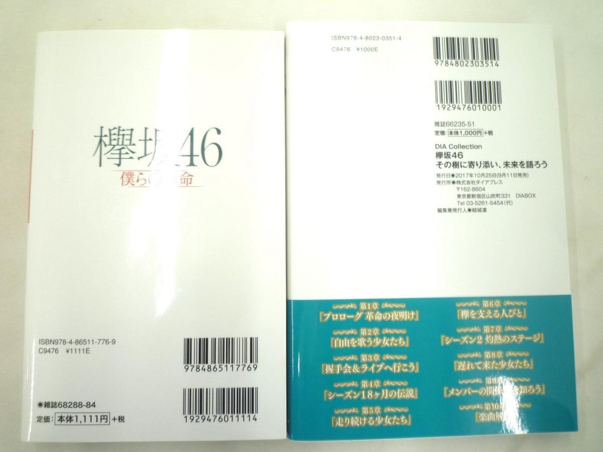 【同梱可】中古品 アイドル 欅坂46 マフラータオル パスケース 小説 等 グッズセット_画像4