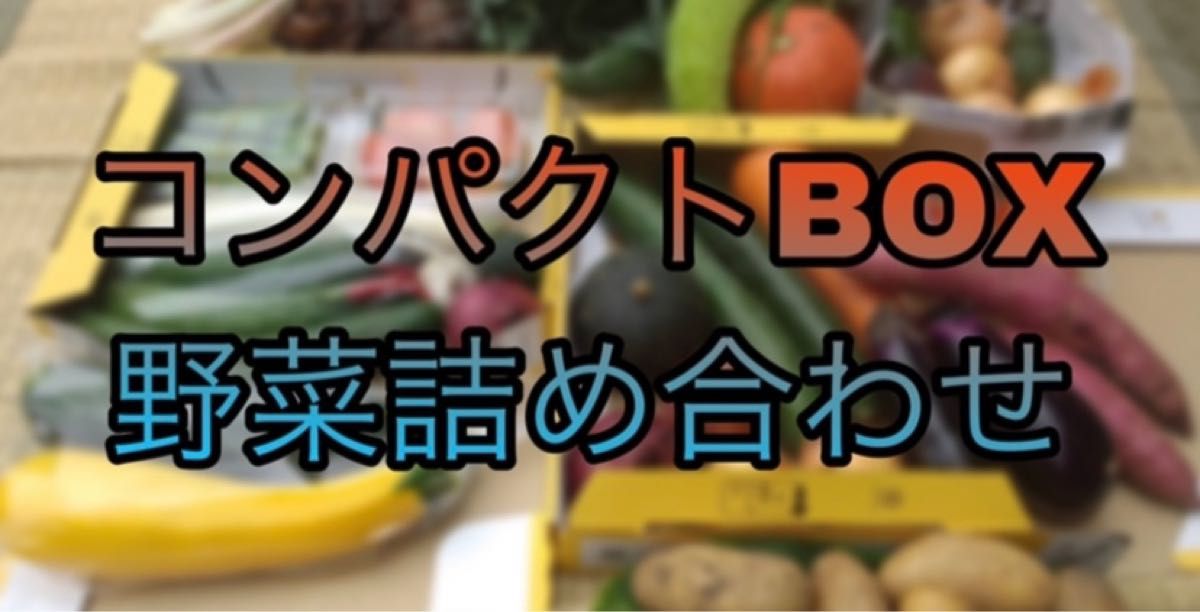 【お試しに！】茨城県産　野菜　野菜ボックス　コンパクト
