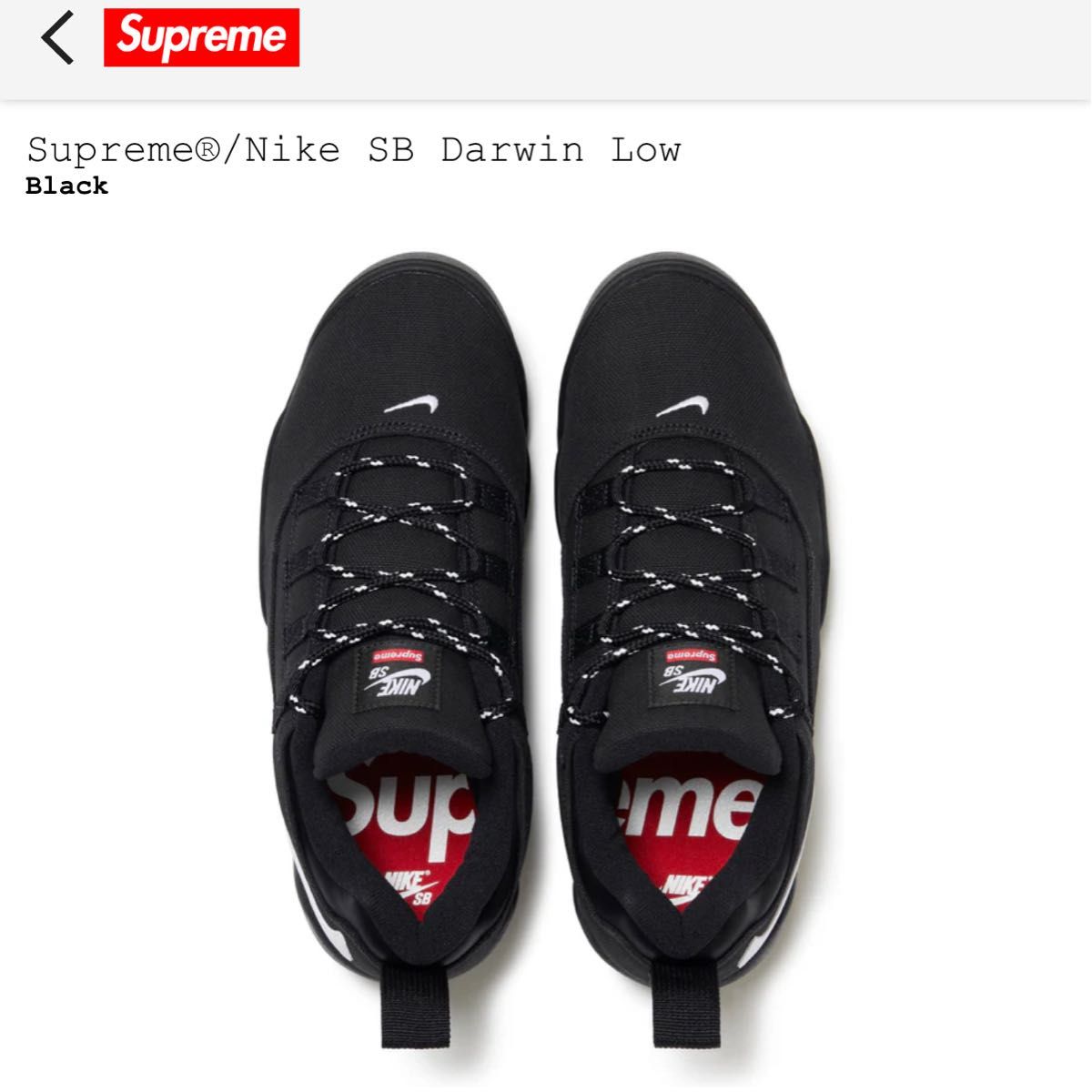 Supreme × Nike SB Darwin Low "Black"