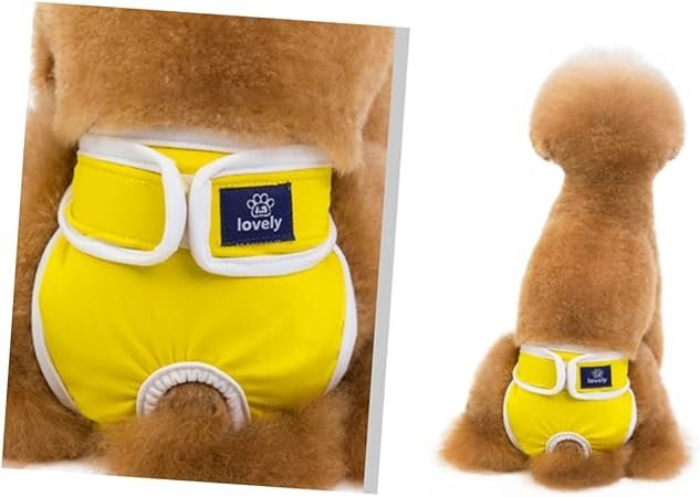  pet sanitary pants pet. diapers Ran Jerry bread tea Homme tsu size S BB0096