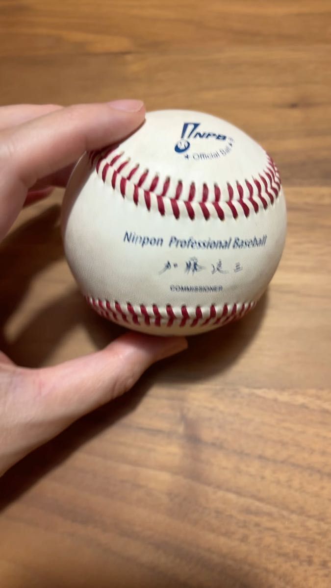 プロ野球 NPB 公式球 加藤 良三 試合球 ファールホームラン プロ野球 NPB 公式球 加藤 良三 試合球 ファールホームラン