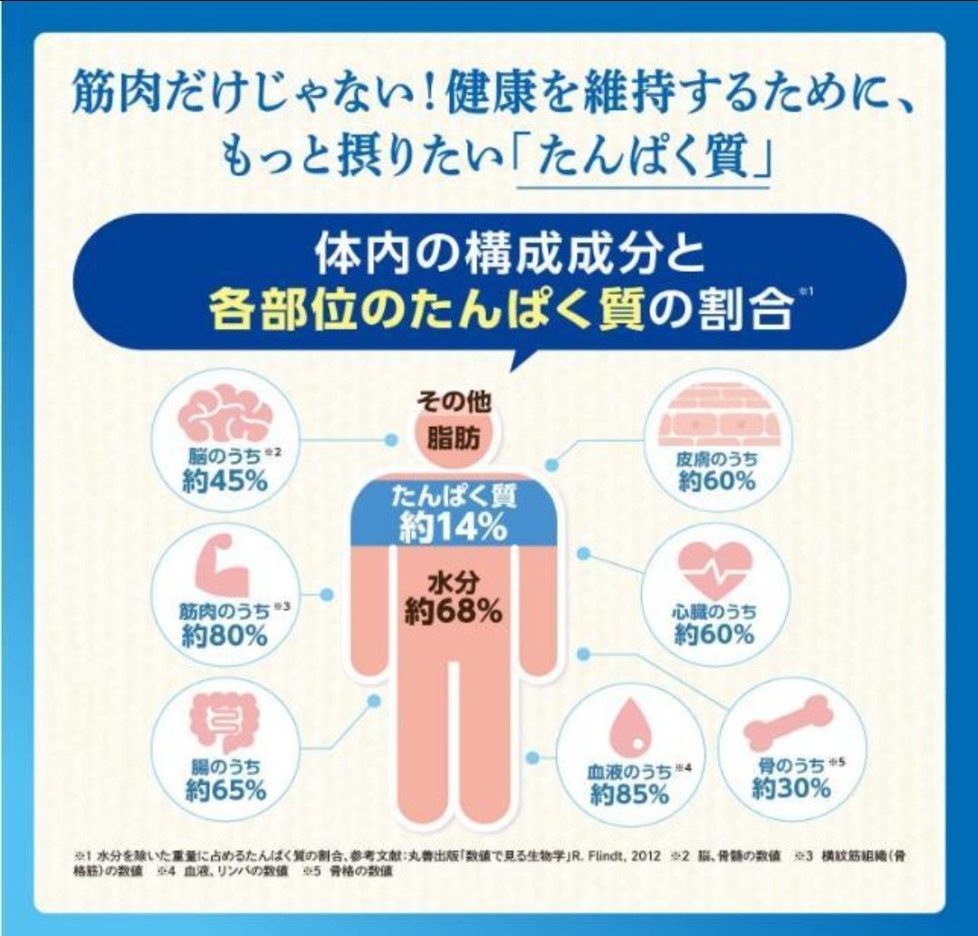 激安　森永 大人のためのプロテイン タンパク生活 180g×3  たんぱく質 森永乳業