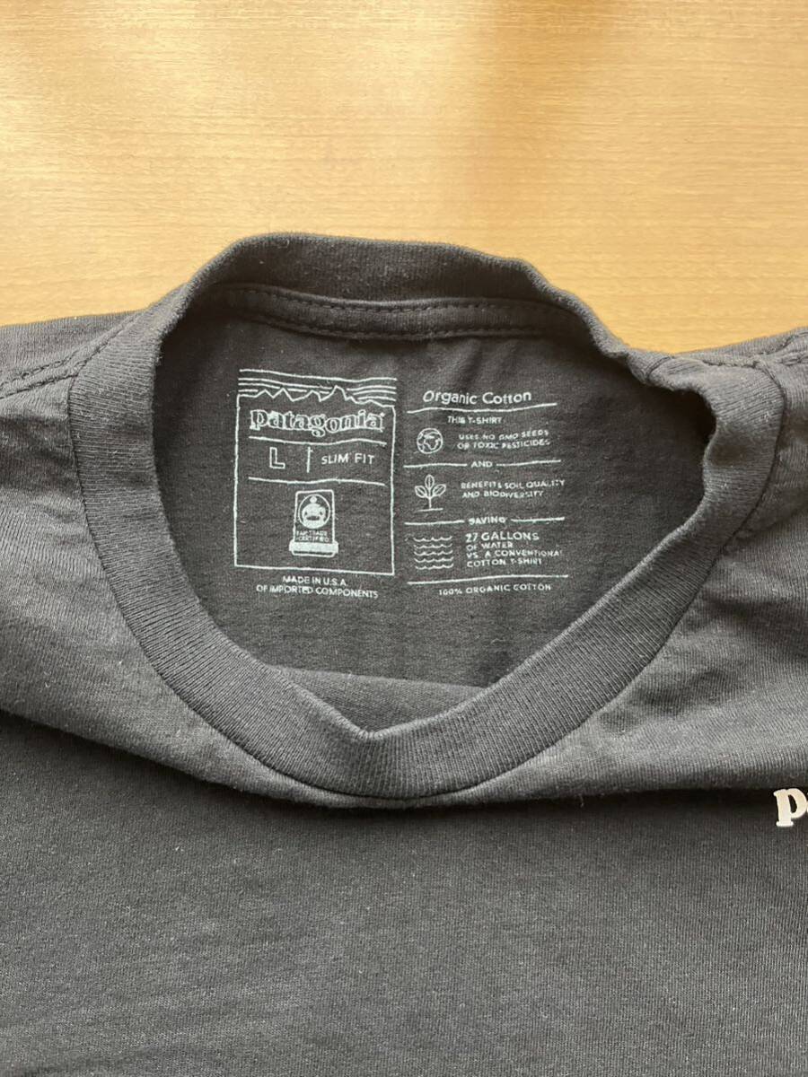 USA製 patagonia 長袖Tシャツ 袖ロゴ パタゴニア Lsize black ロンT_画像3