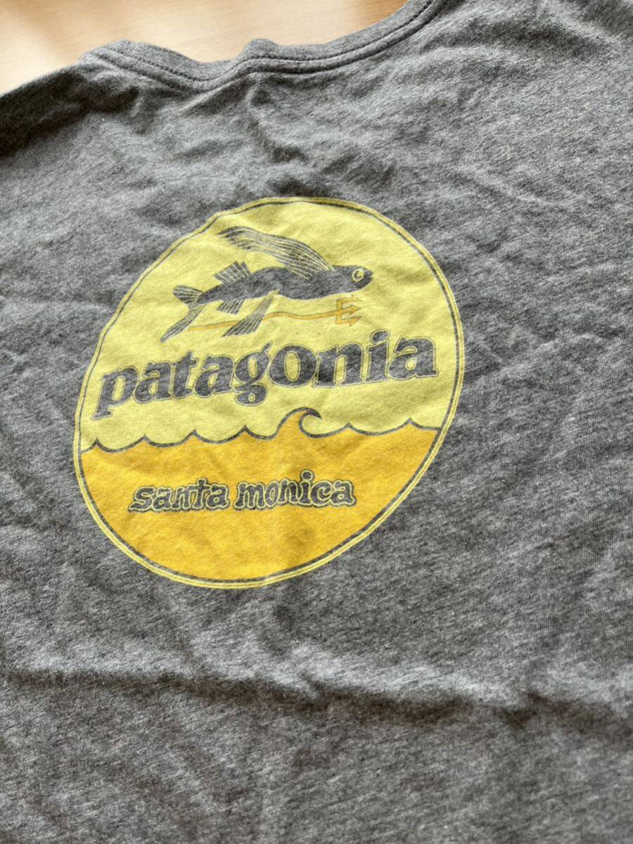 2016年 USA製 patagonia santa monica店舗限定 半袖Tシャツ パタゴニア Msize_画像1