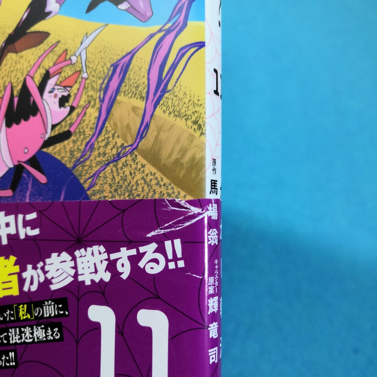 蜘蛛ですが、なにか?　1‐13巻／かかし朝浩●送料無料・匿名配送