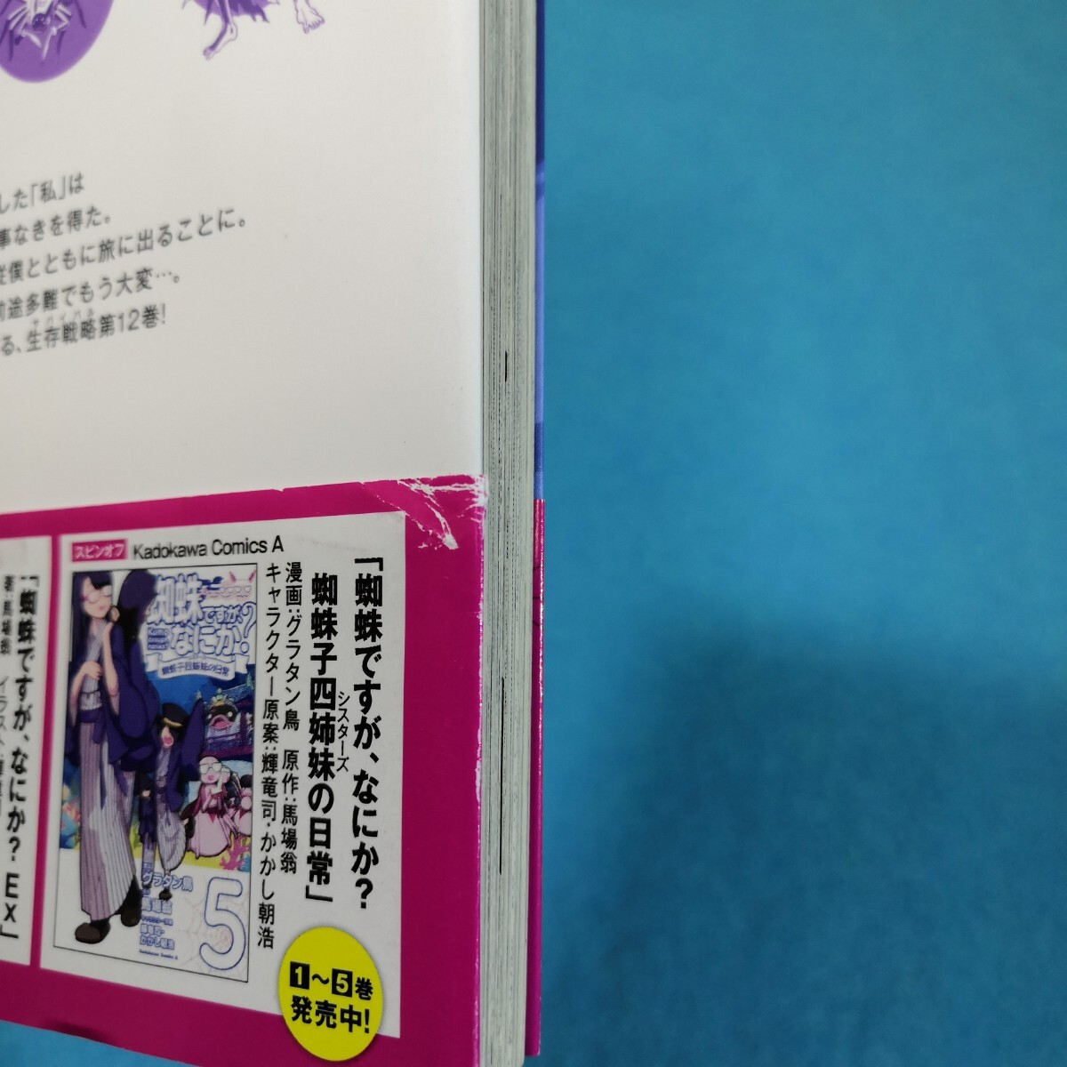 蜘蛛ですが なにか 1‐13巻/かかし朝浩 送料無料・匿名配送 蜘蛛ですが なにか 1‐13巻/かかし朝浩 送料無料・匿名配送