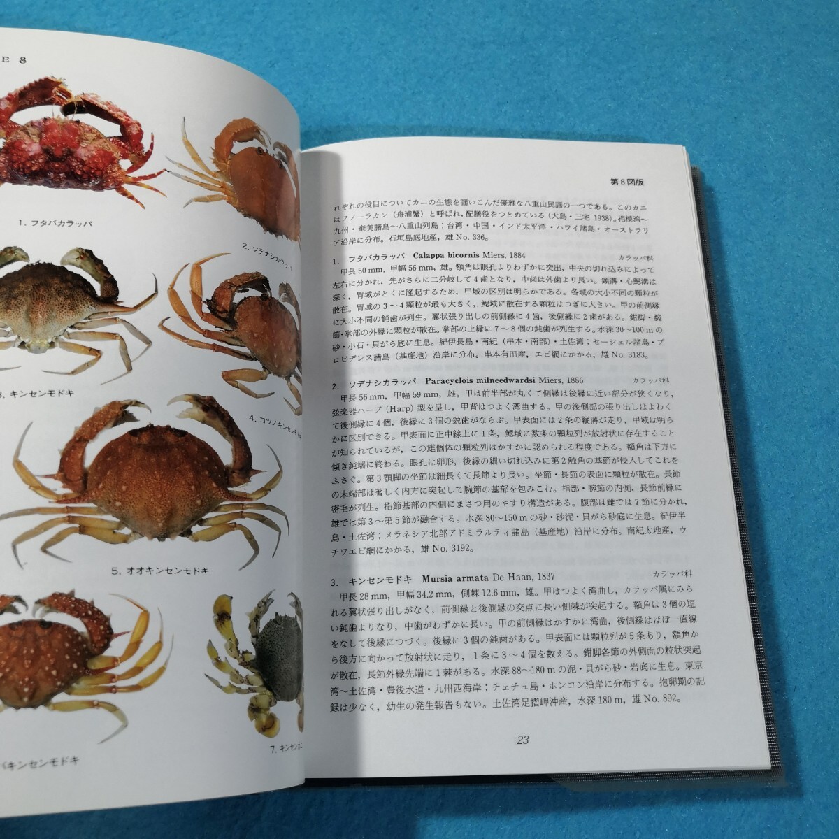 原色日本大型甲殻類II 原色日本大型甲殻類II