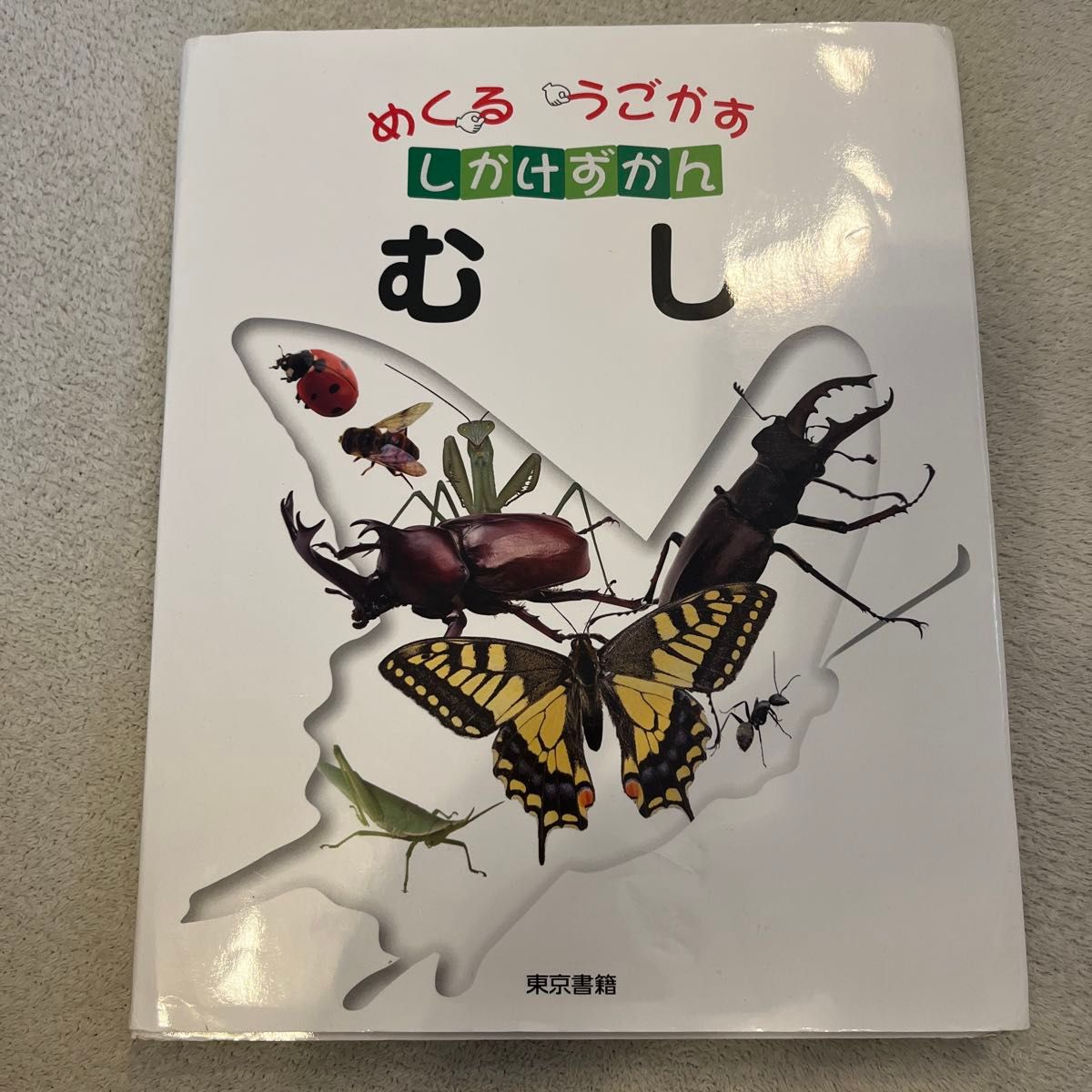 本 図鑑  むし めくる うごかす しかけずかん