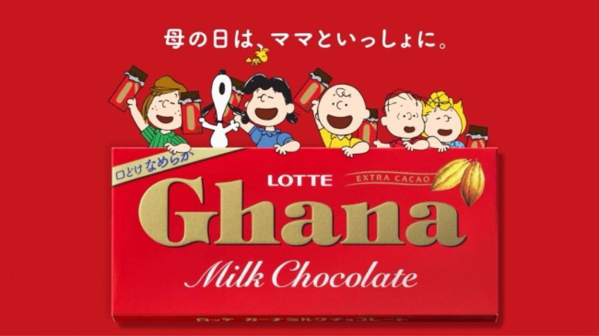 4)祝 母の日「ありがとう」にGhanaを添えて！　　　スヌーピー 彩りセット