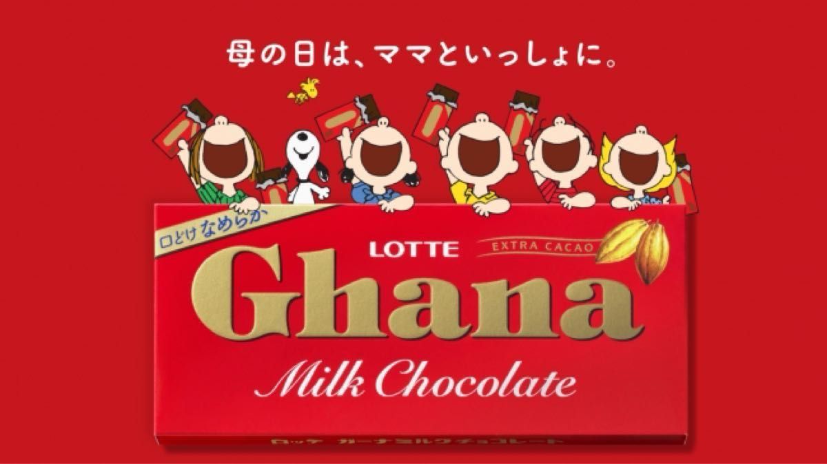 4)祝 母の日「ありがとう」にGhanaを添えて！　　　スヌーピー 彩りセット