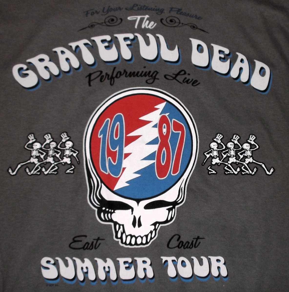 ★グレイトフル デッド Tシャツ Grateful Dead 87ツアー - XL 正規品 骸骨 steel your face ベアー 60s bear_画像3