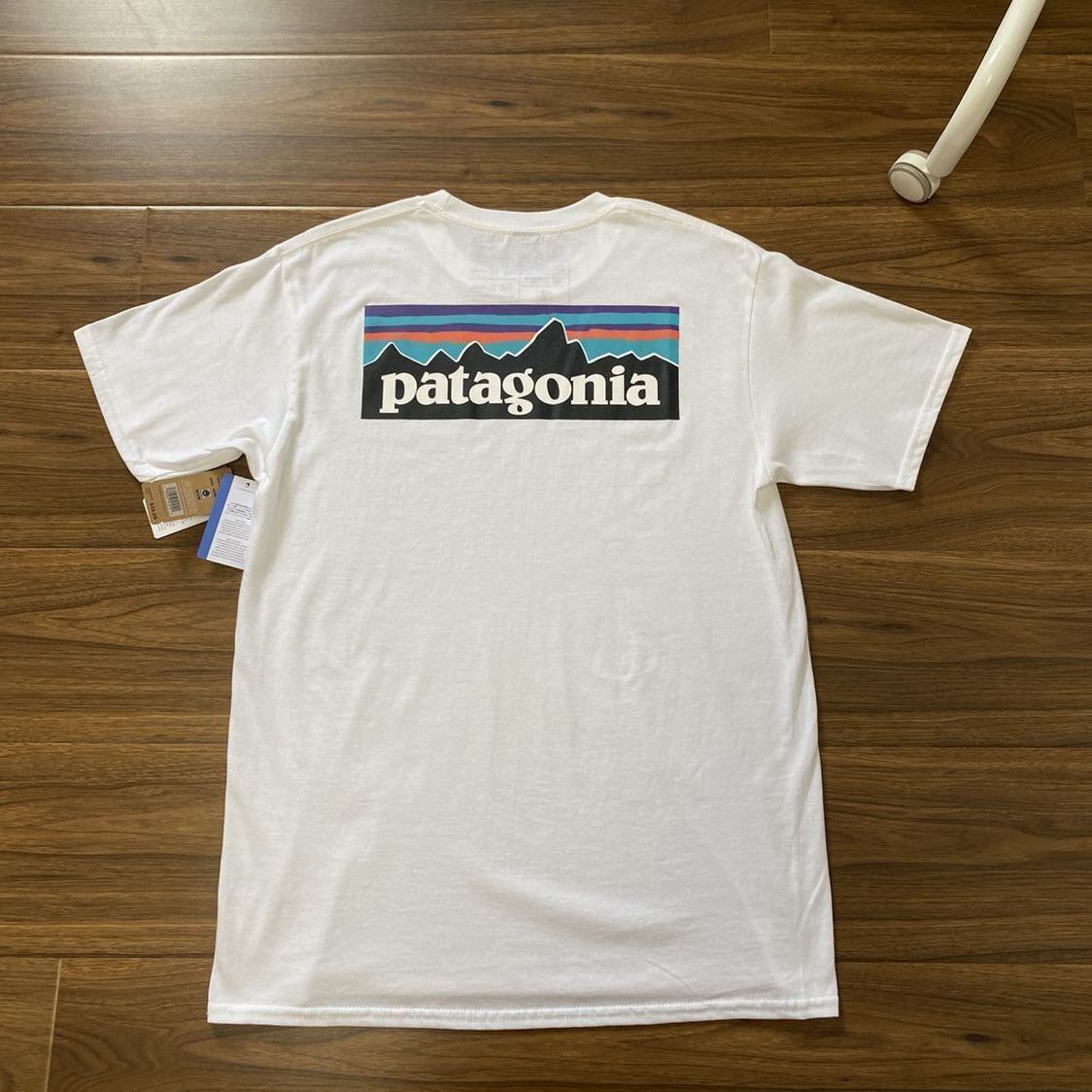 1000円スタート　パタゴニア patagonia Tシャツ　半袖　丸首　背中ロゴ　男女兼用　S-2XL　サイズ選択可能　56-60cm　TT6_画像1