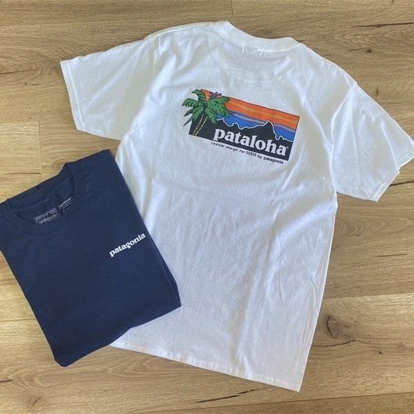 1000円スタート　パタゴニア patagonia Tシャツ　半袖　丸首　背中ロゴ　コットン　男女兼用　S-3XL　サイズ選択可能　TT147_画像1