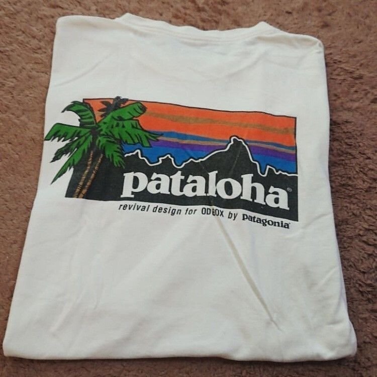 1000円スタート　パタゴニア patagonia Tシャツ　半袖　丸首　背中ロゴ　コットン　男女兼用　S-3XL　サイズ選択可能　TT147_画像2