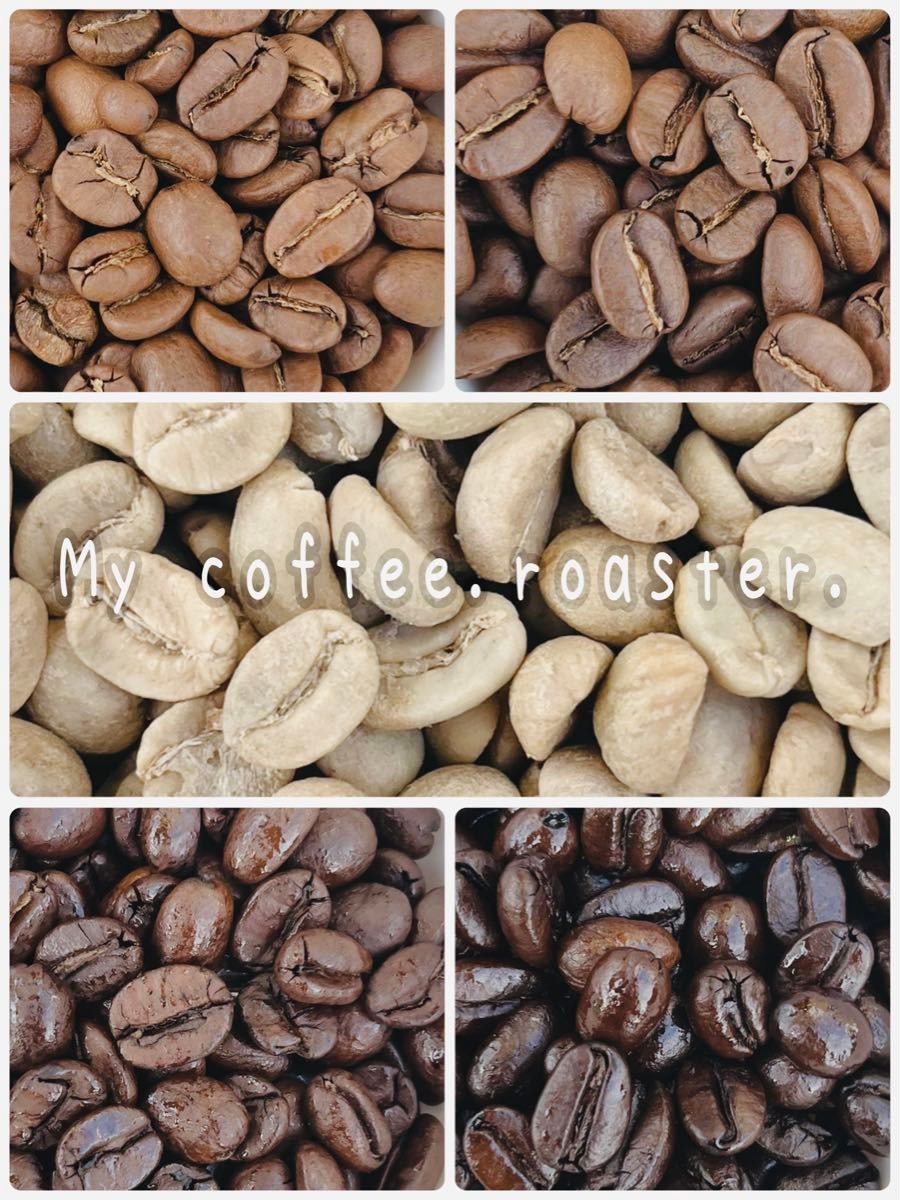 自家焙煎コーヒー豆　３種お試し飲み比べセット　各種200g 計600g