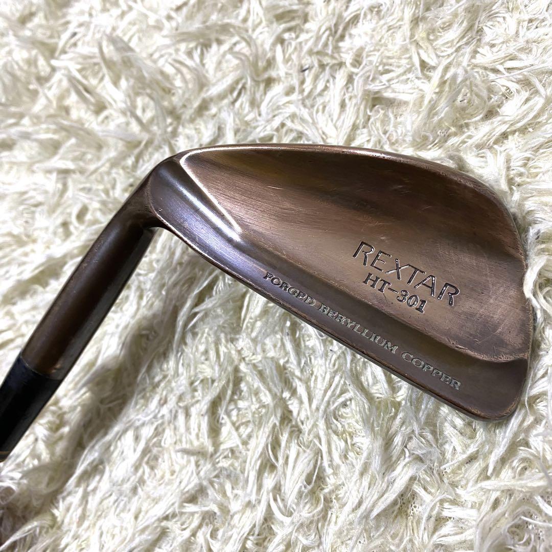 ブリヂストン REXTAR HT-301 アイアン 10本 レフティ 左利き ブリヂストン REXTAR HT-301 アイアン 10本 レフティ 左利き