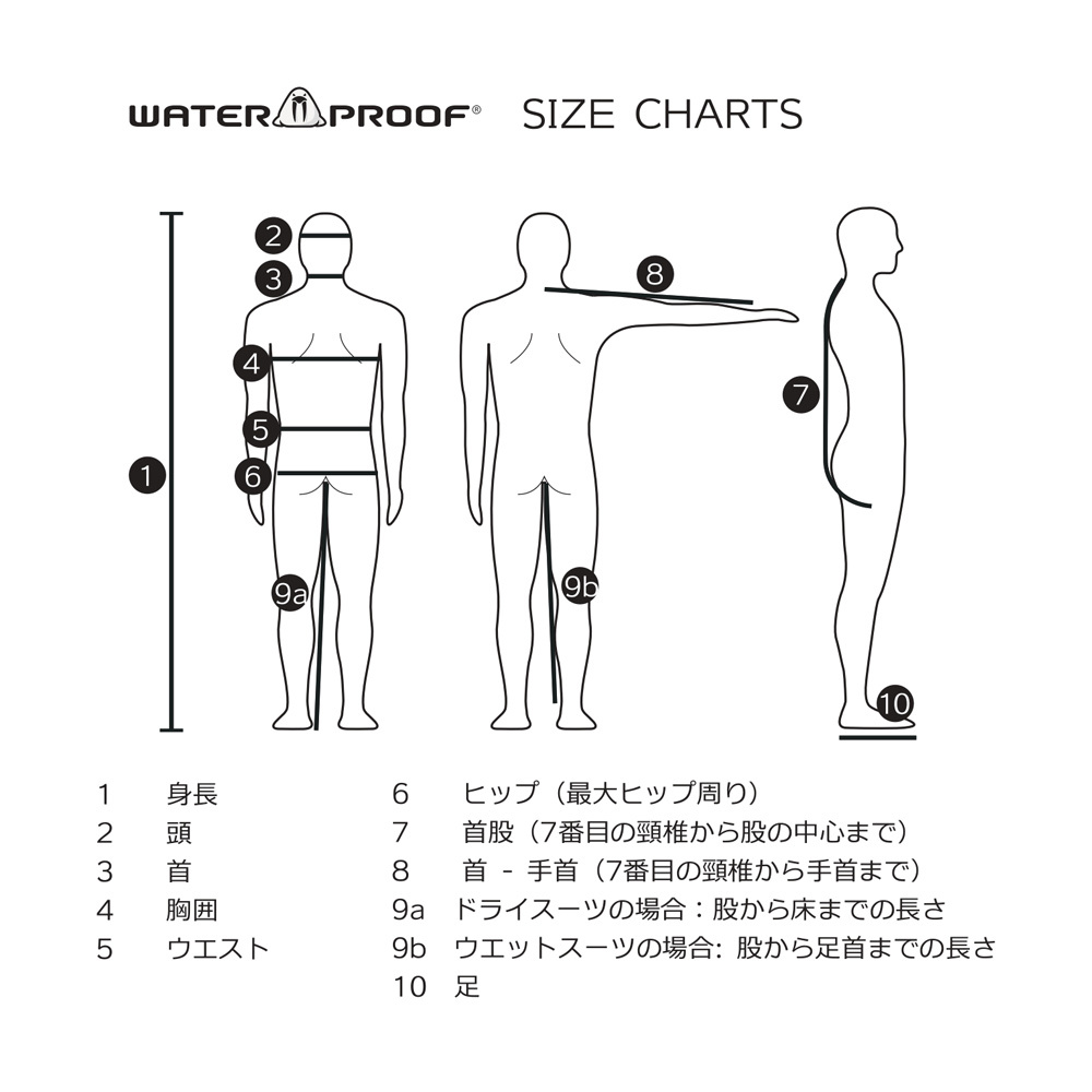 Water Proof 女性用 ドライスーツ インナー NORD Sサイズ WP6032 2200 ( 極寒のスウェーデンが生んだ超温かいインナー )_画像4