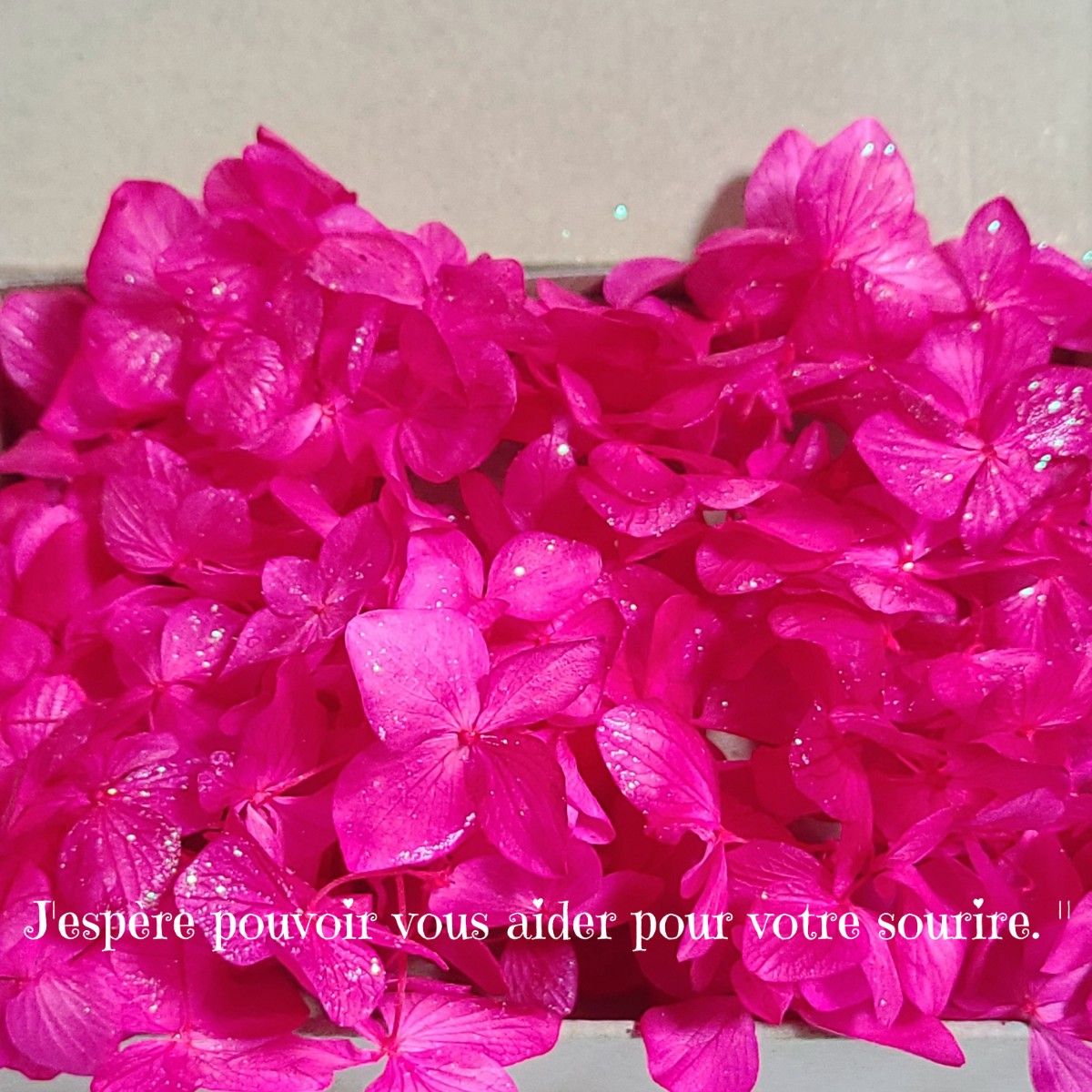 加工花材＊　濃いめ  ピンク ゆめあじさい　プリザーブドフラワー　レジン　花材