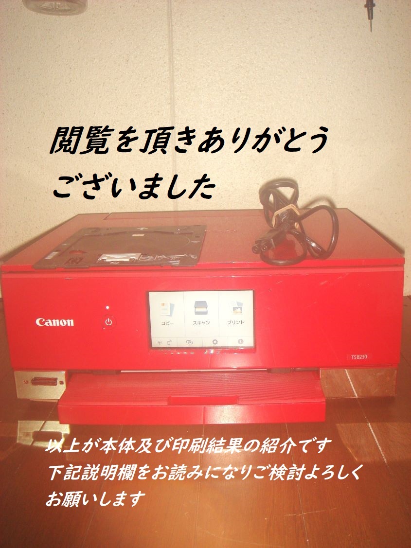  キャノン　ピクサス　TS8230 RD（レッド）インクジェットプリンター　印刷枚数　1704枚　中古現状品_画像10