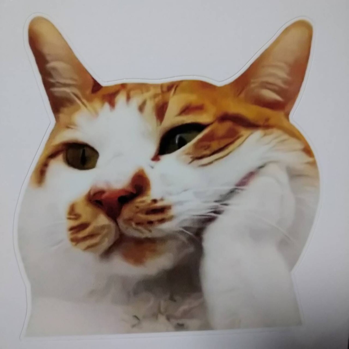 猫　ネコ　ユニーク　可愛い　動物　ペット　ステッカー　防水　転写シール　シール_画像4